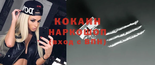 сатива Абаза