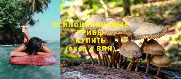 мяу мяу мука Абдулино