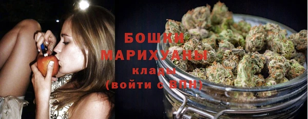 сатива Абаза